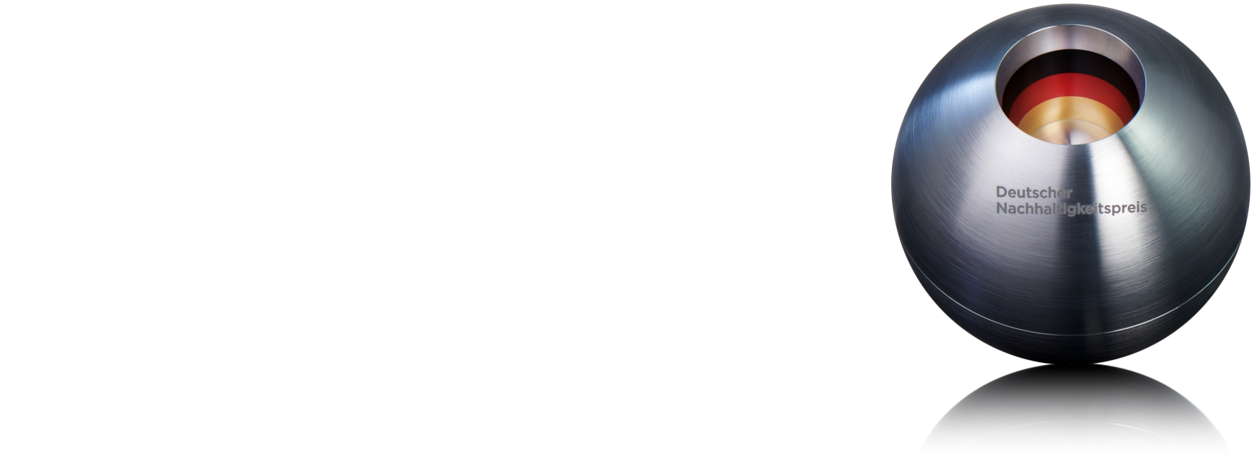 Jurymitglied des Deutschen Nachhaltigkeitspreis